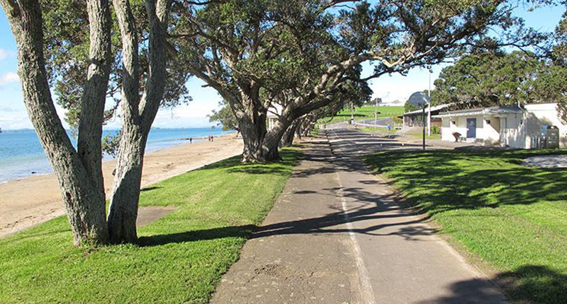 Narrow Neck to Devonport Path
